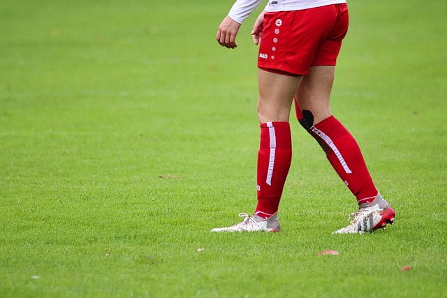 持巴勒斯坦 持巴勒斯坦