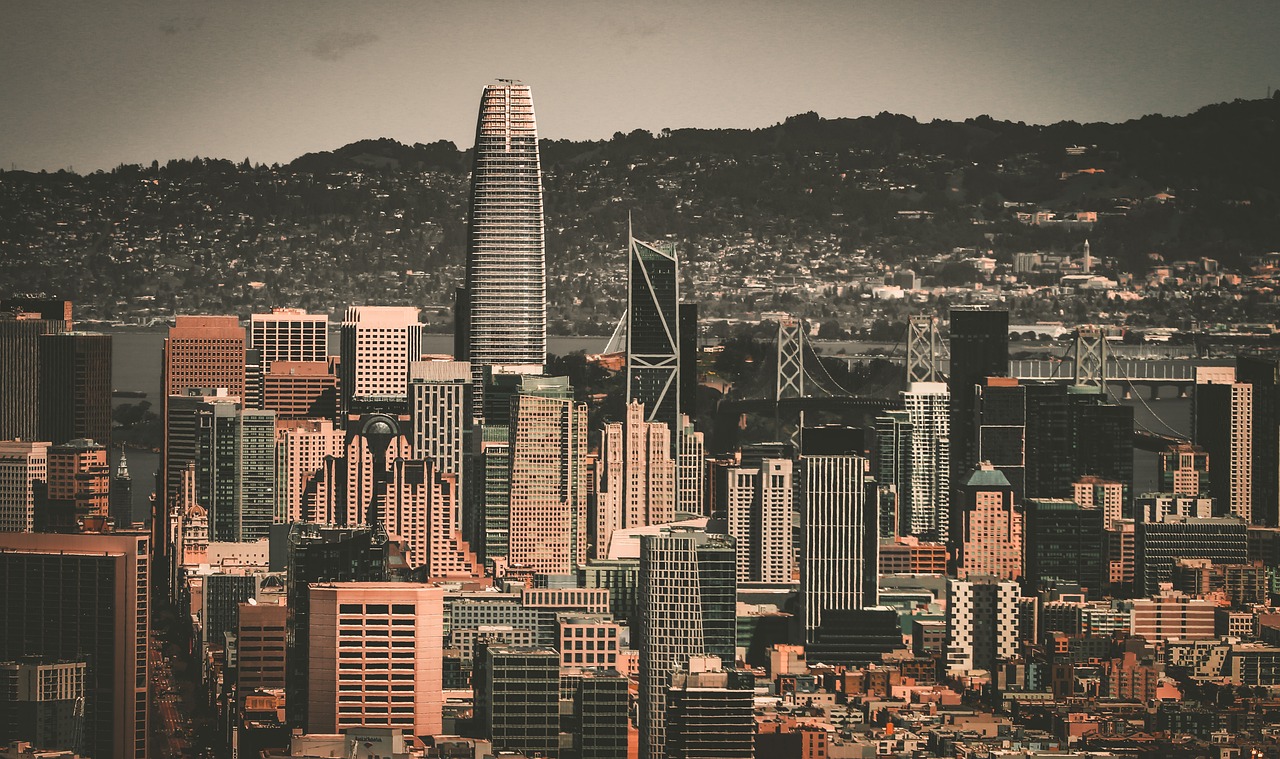 比赛中展示 比赛中展示