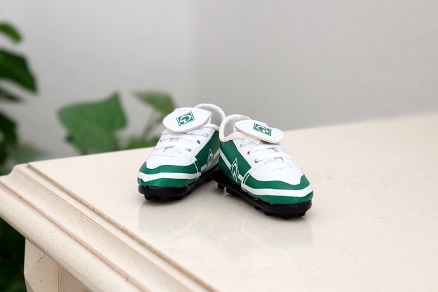 朗尼的故事 朗尼的故事