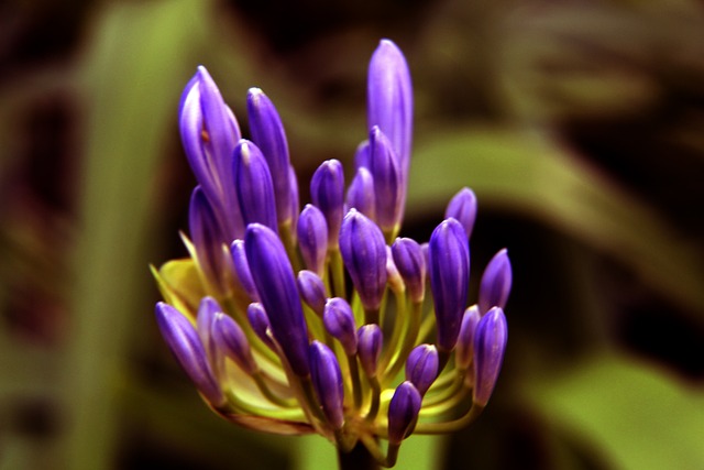 迫使他们重 迫使他们重