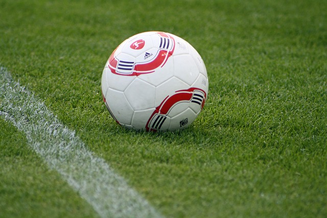 詹姆斯与韦 詹姆斯与韦