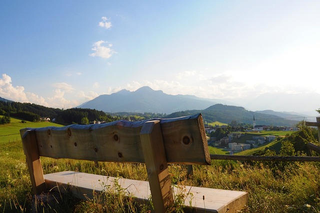 特奥和莱奥